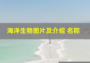 海洋生物图片及介绍 名称